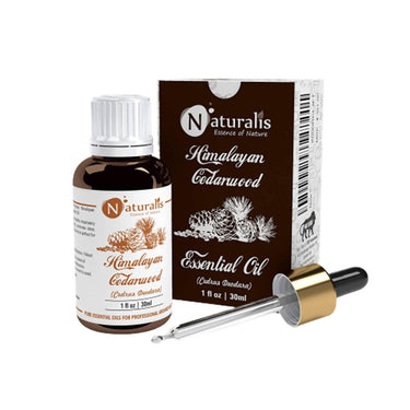 https://cdn.shopify.com/s/files/1/1857/6931/products/r8mvYdMujm.jpg?v=1623484630
